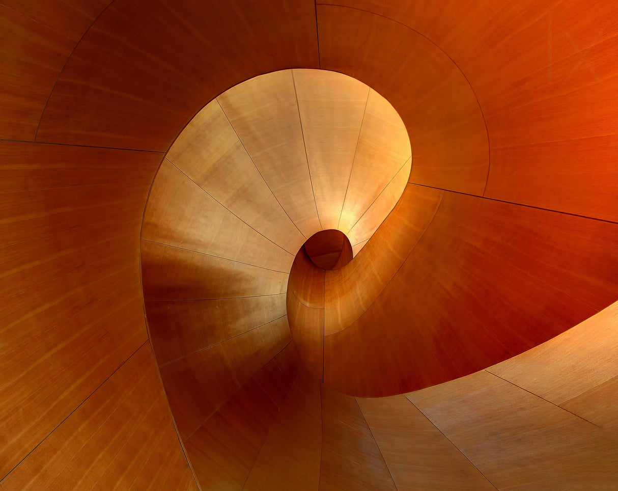 The Curve Poster och Canvastavla