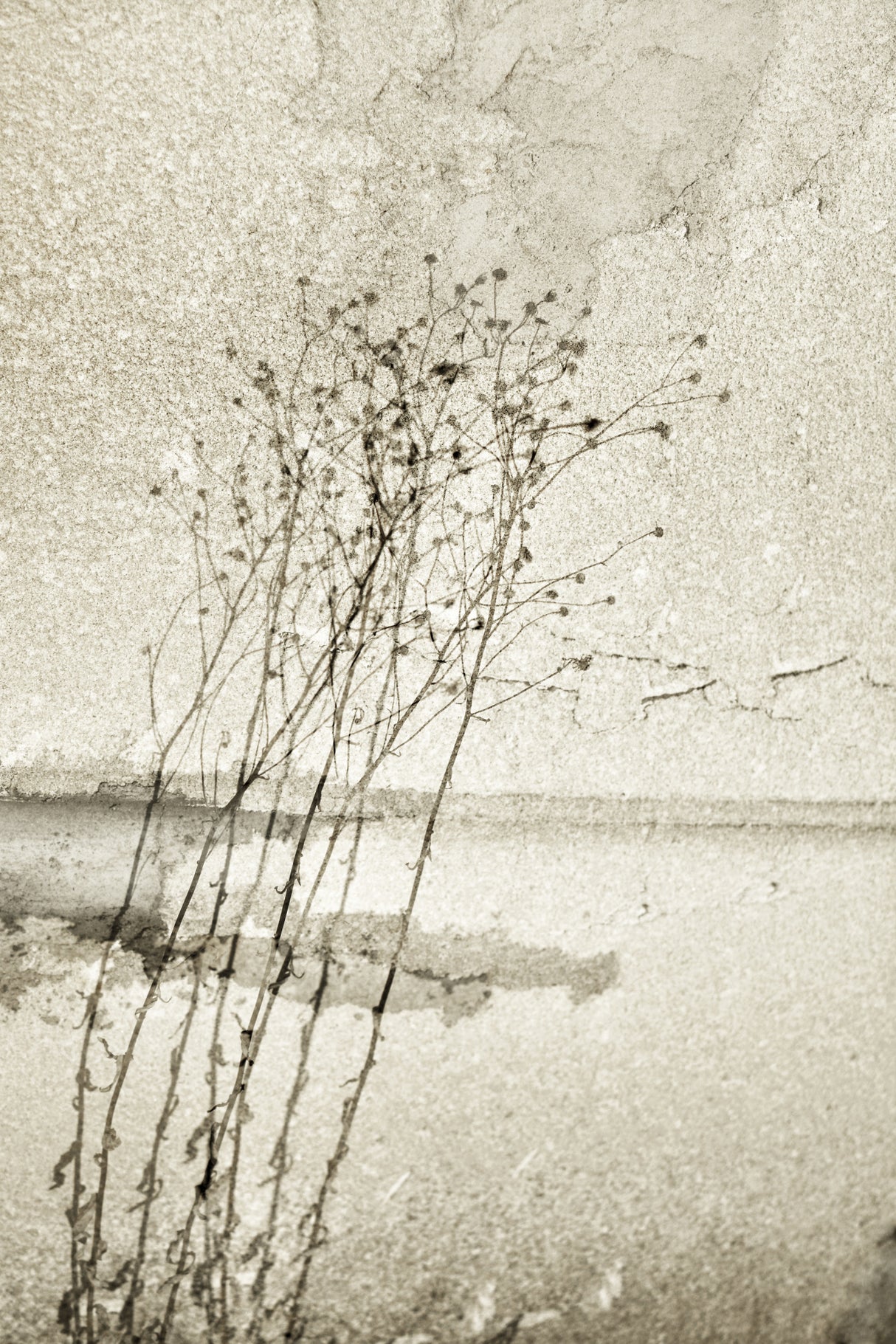 On the concrete Poster och Canvastavla