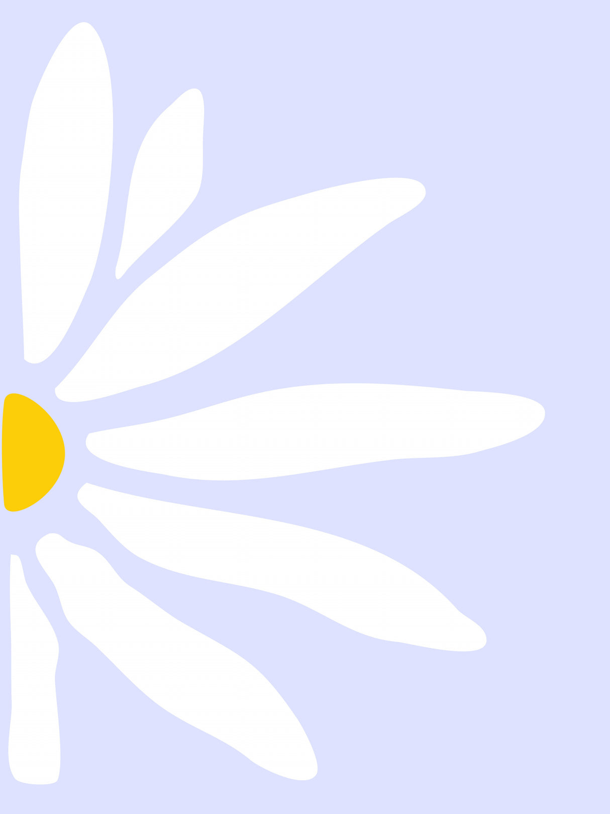 Gänseblümchen Poster och Canvastavla