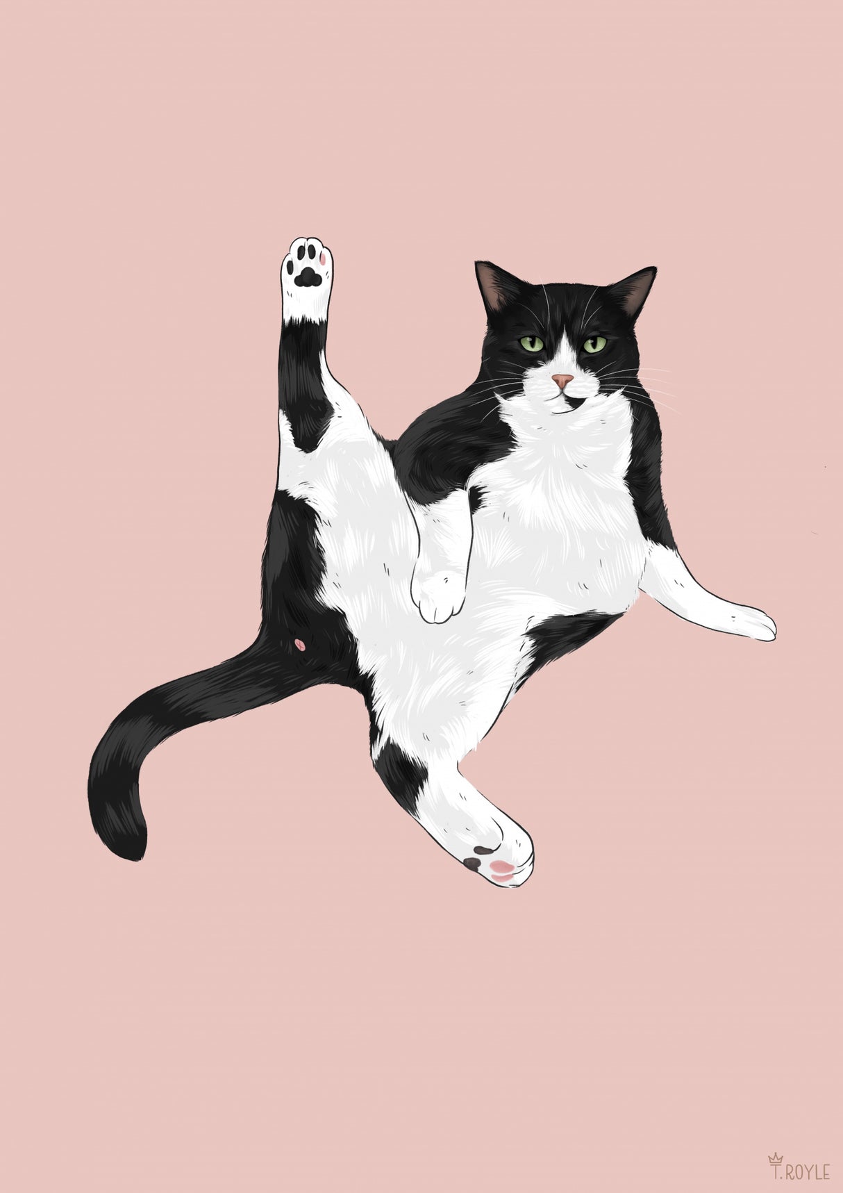 Sassy Cat Poster och Canvastavla