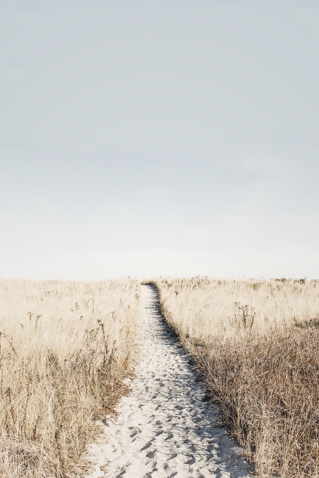 To The Beach Poster och Canvastavla