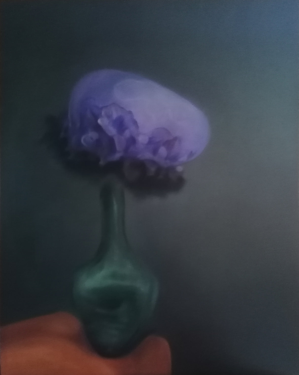 Bacivi Poster och Canvastavla