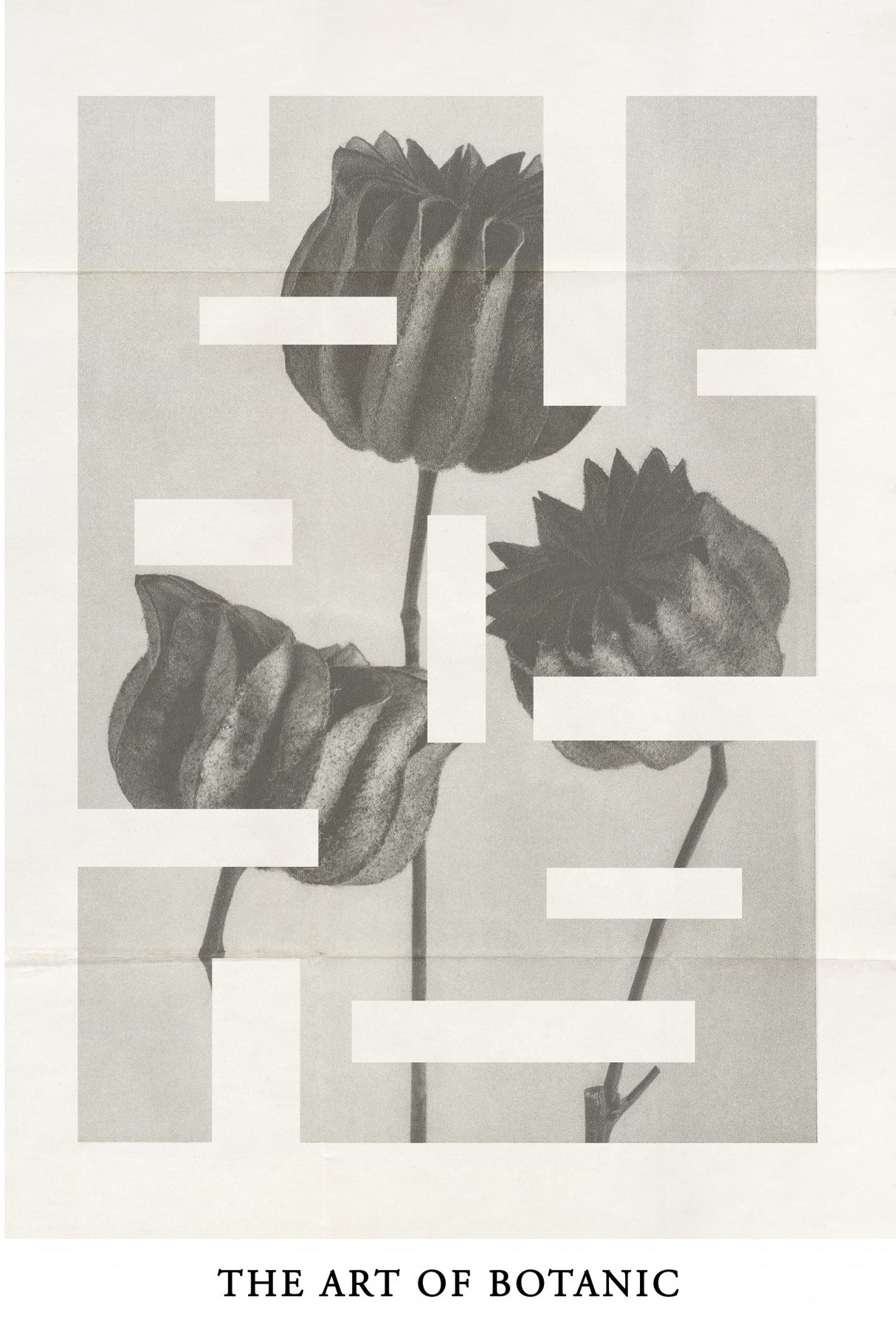 The art of botanic No.1 Poster och Canvastavla