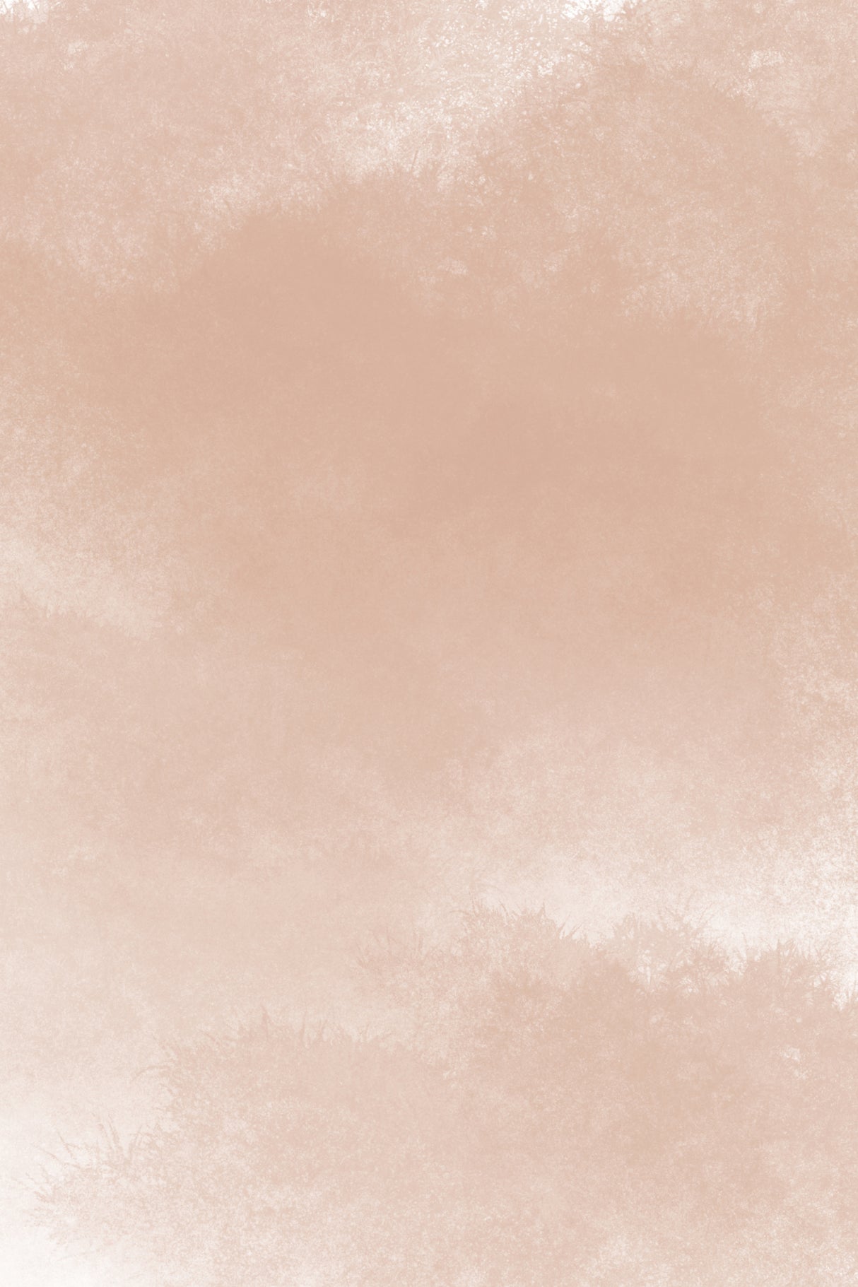 Peachy Mood Poster och Canvastavla