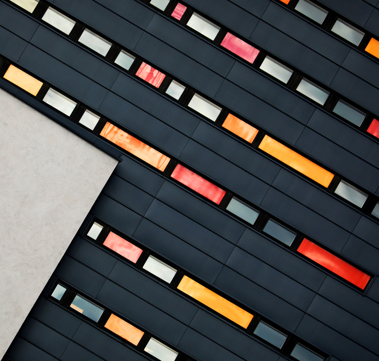 Wall of Windows Poster och Canvastavla