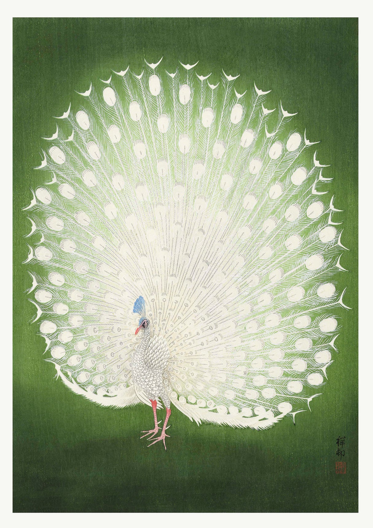 Peacock Poster och Canvastavla no.3