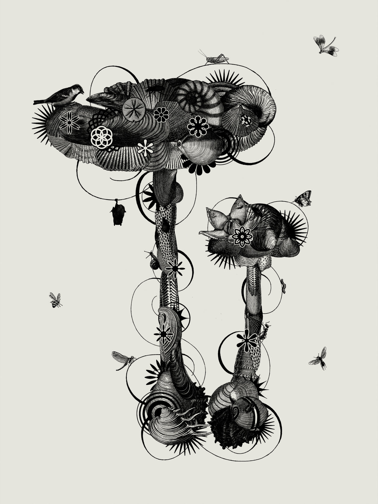 Amanita Mascara Poster och Canvastavla