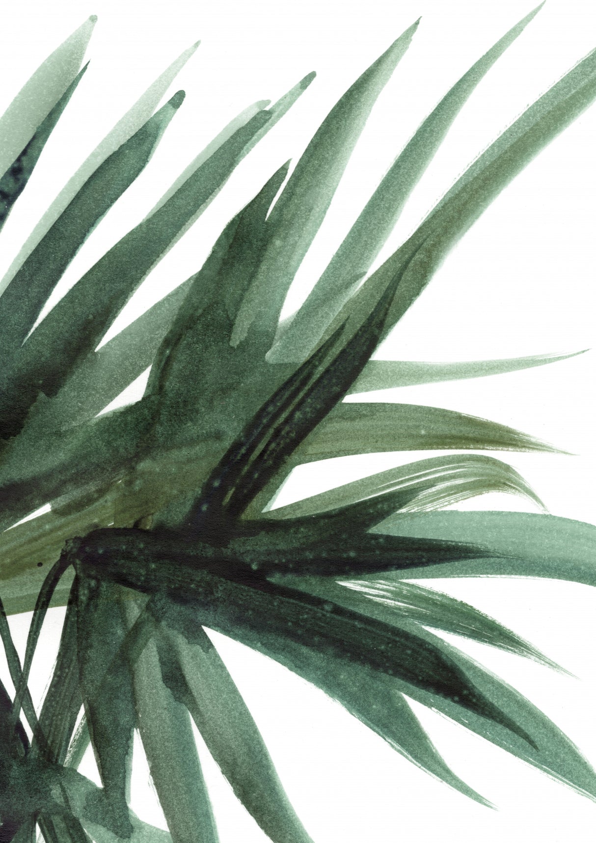 Lush Poster och Canvastavla