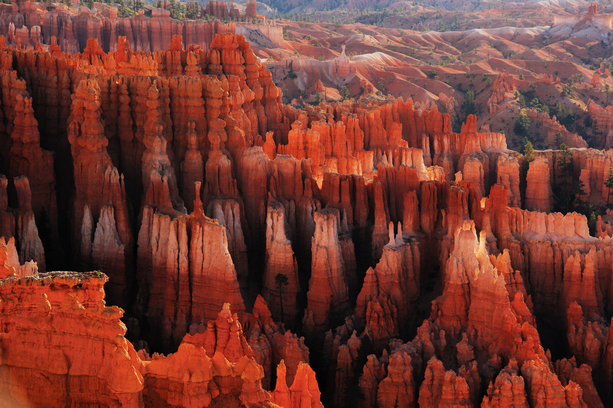 Red City Poster och Canvastavla