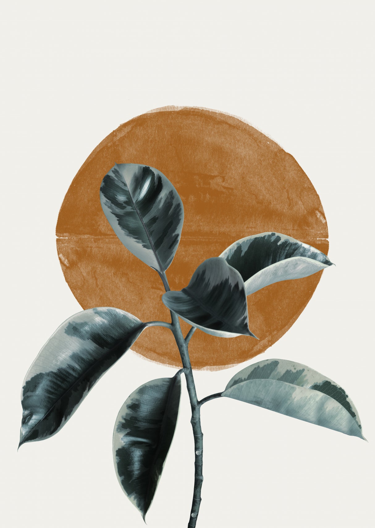 Sun and Ficus Poster och Canvastavla