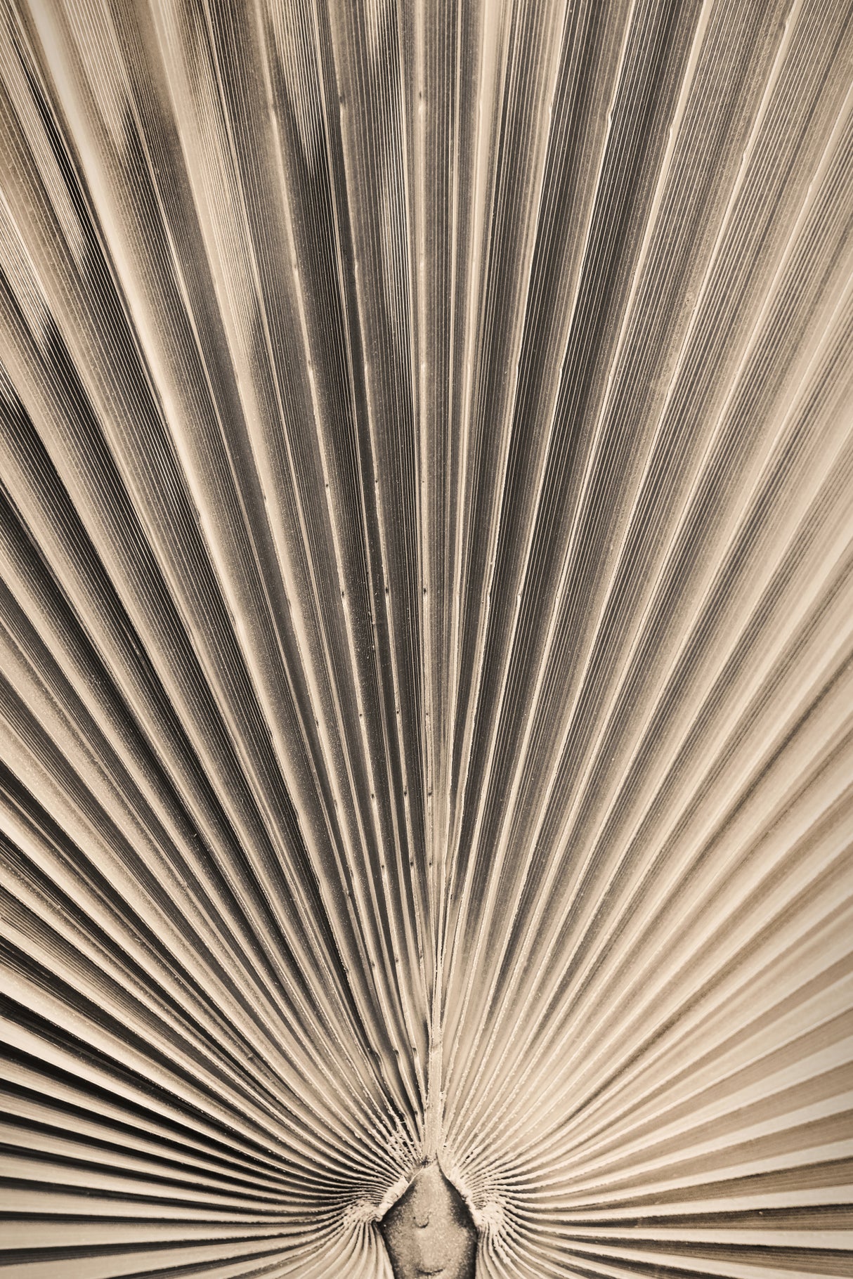 Solaris 07 Poster och Canvastavla