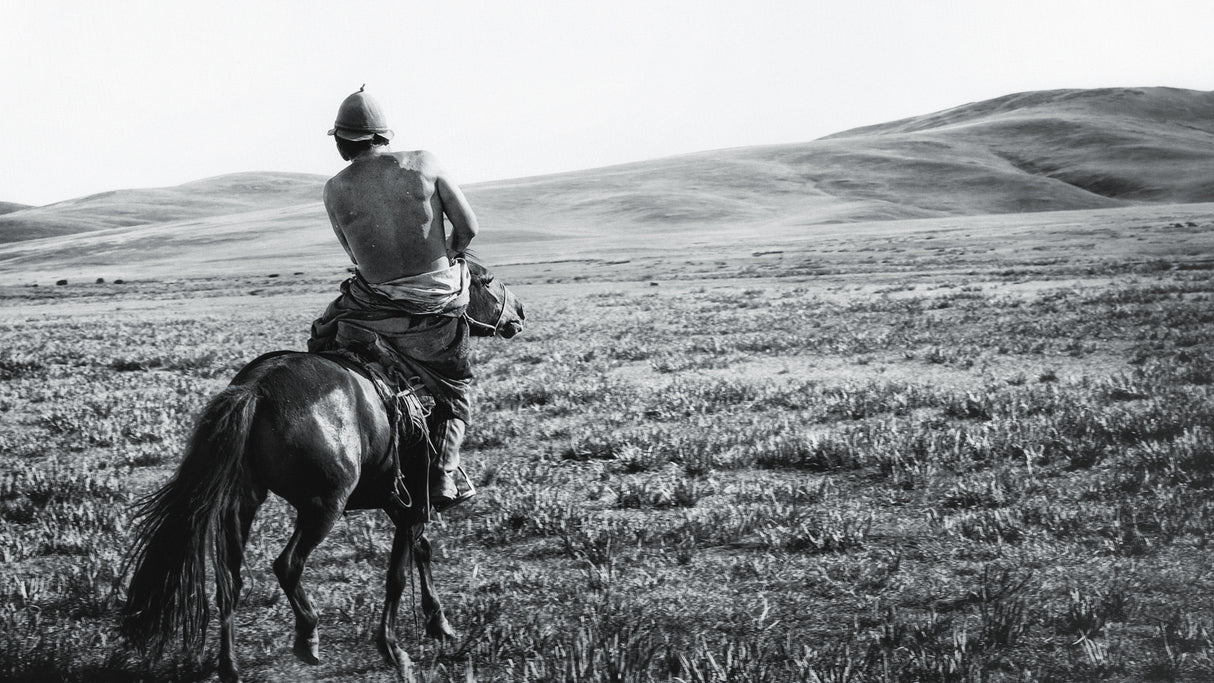 Cowboy of the steppe Poster och Canvastavla