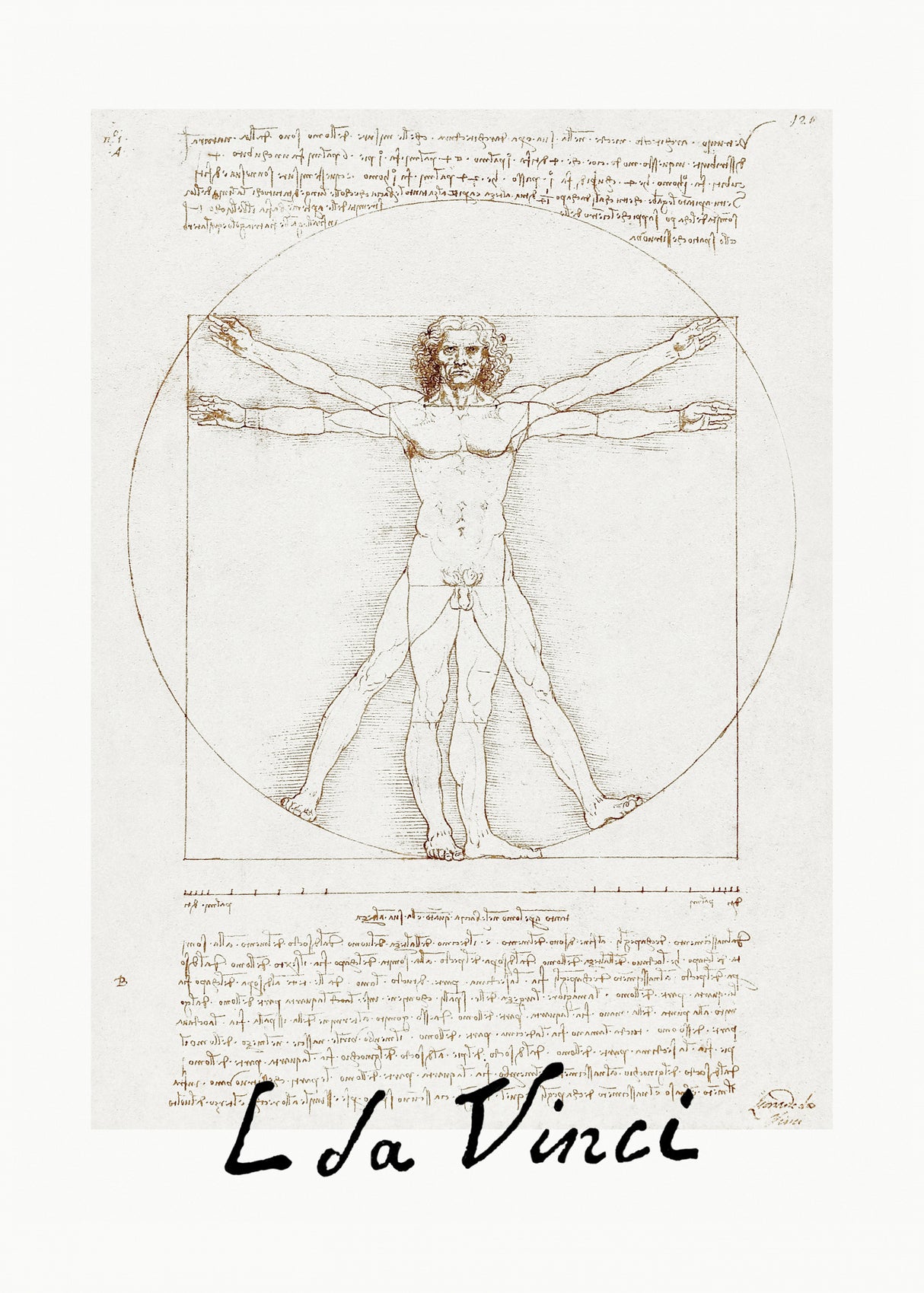 Vitruvian Man Signature Poster och Canvastavla