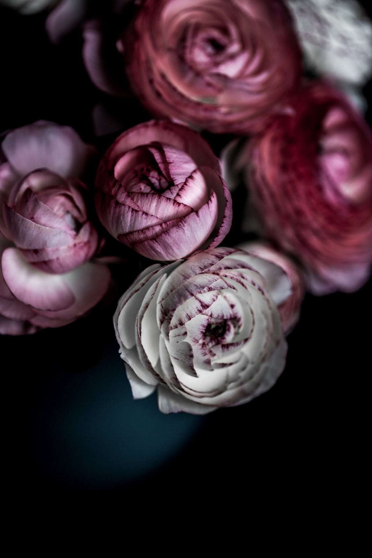 Dark Flowers 2 Poster och Canvastavla