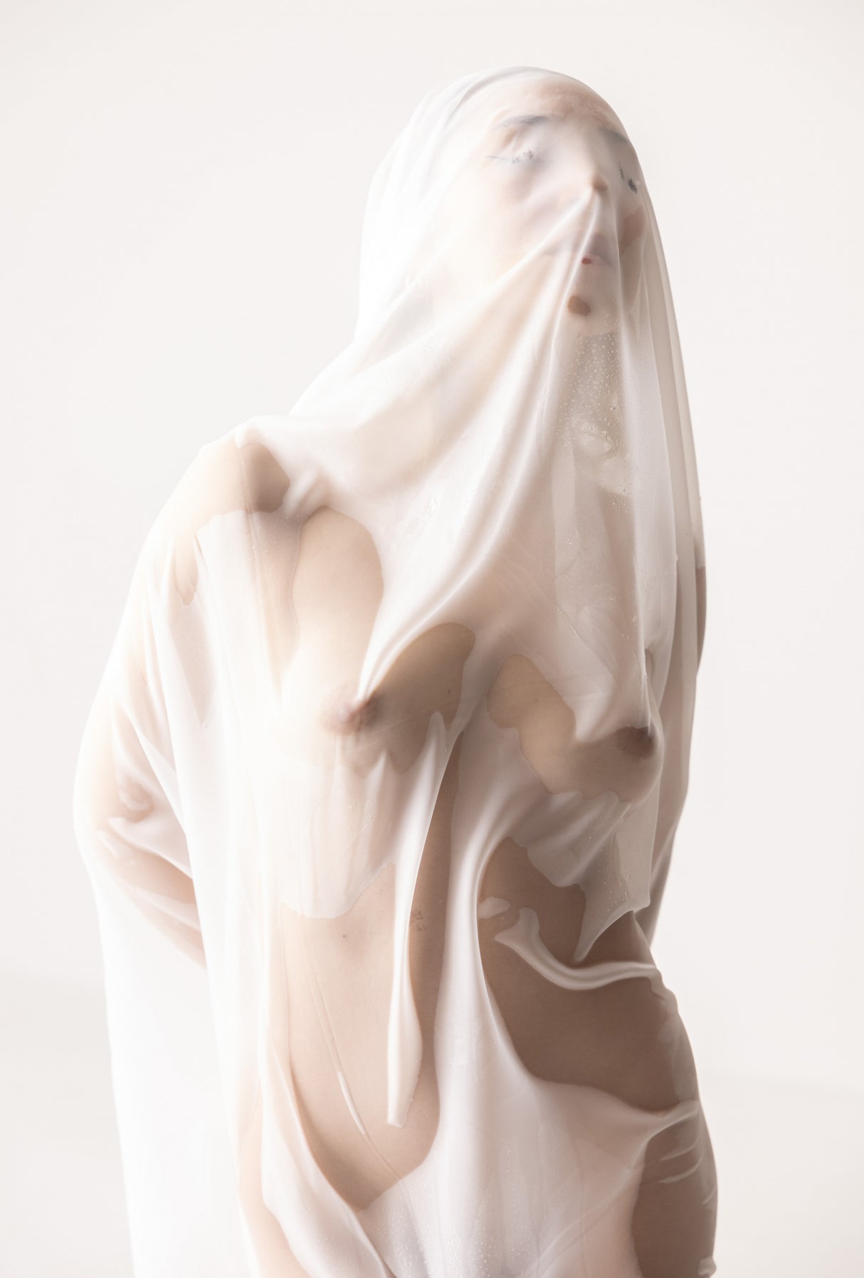 Shroud Poster och Canvastavla