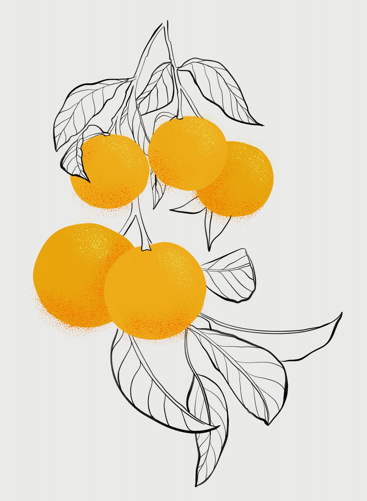 Mabel oranges Poster och Canvastavla