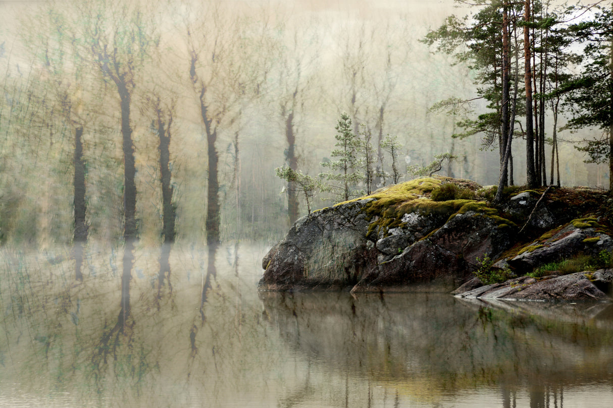Morning fog Poster och Canvastavla