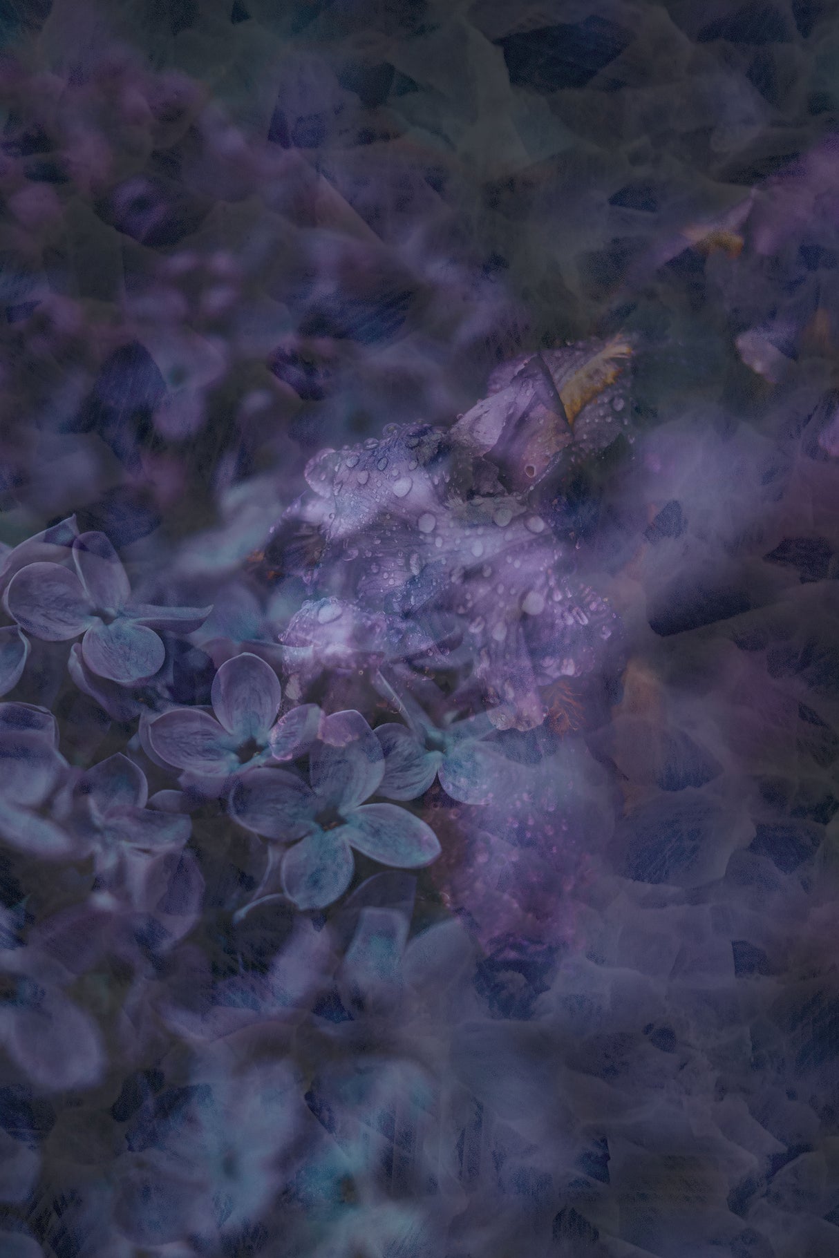 Spring #12.png Poster och Canvastavla