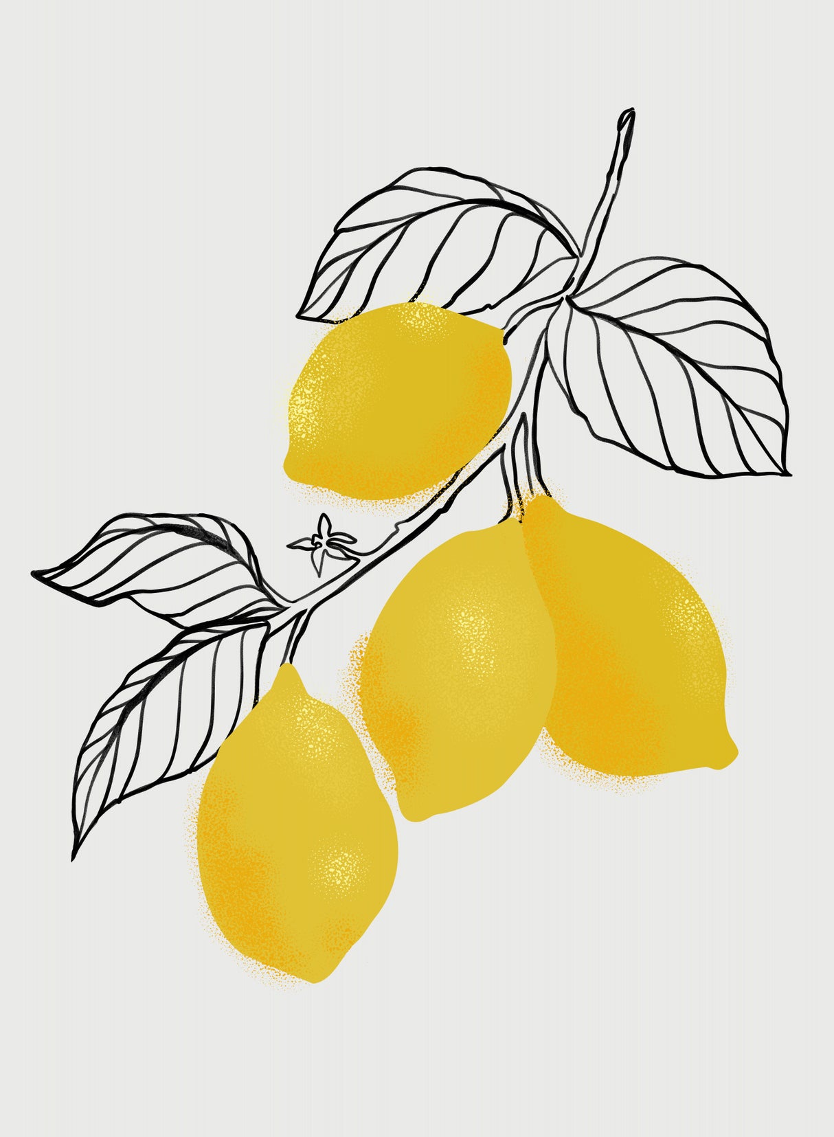 Lamya lemons Poster och Canvastavla