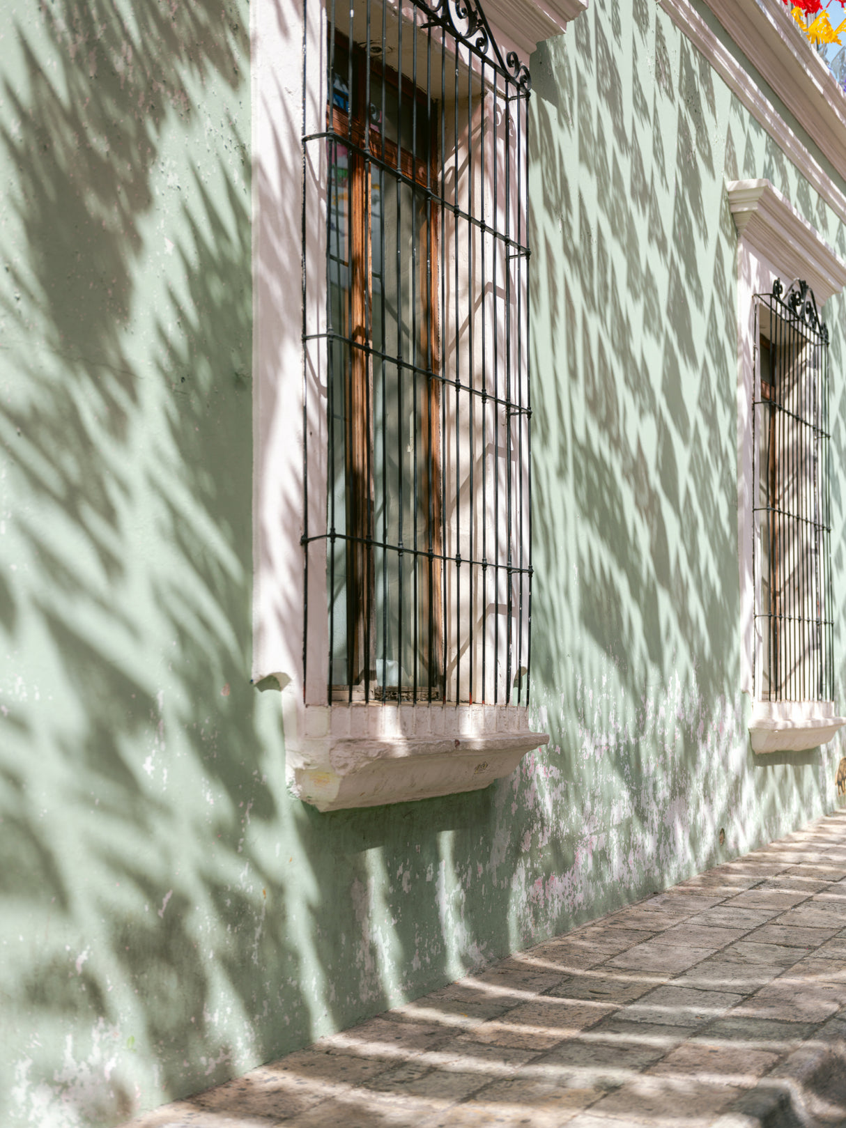 Greens of Oaxaca | Mexico travel photography Poster och Canvastavla