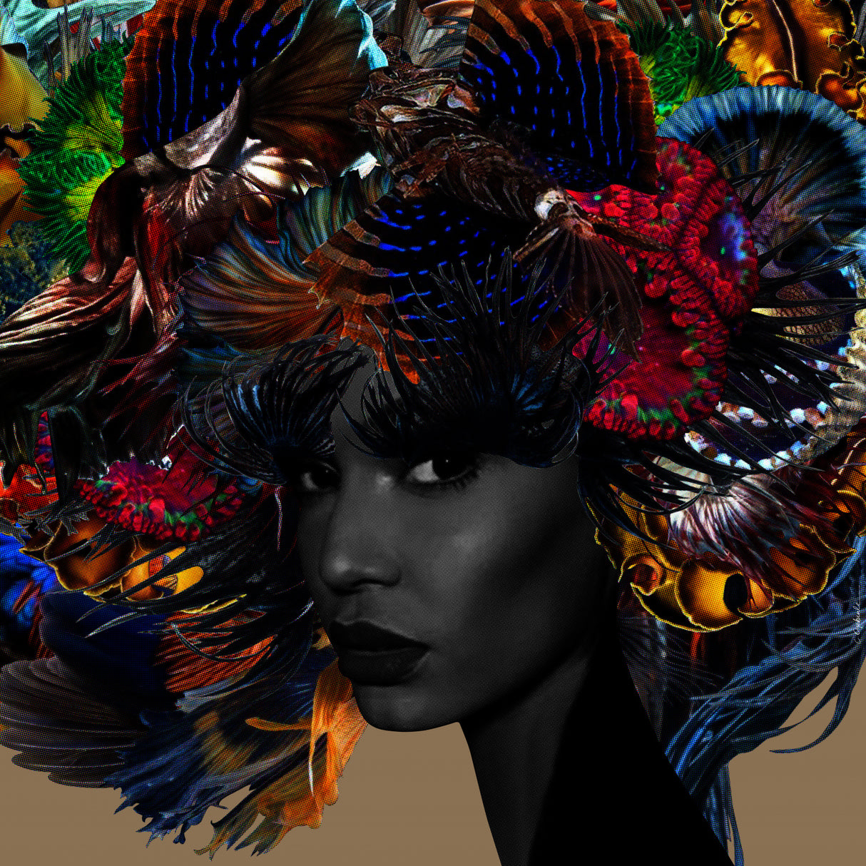 Chandra Poster och Canvastavla