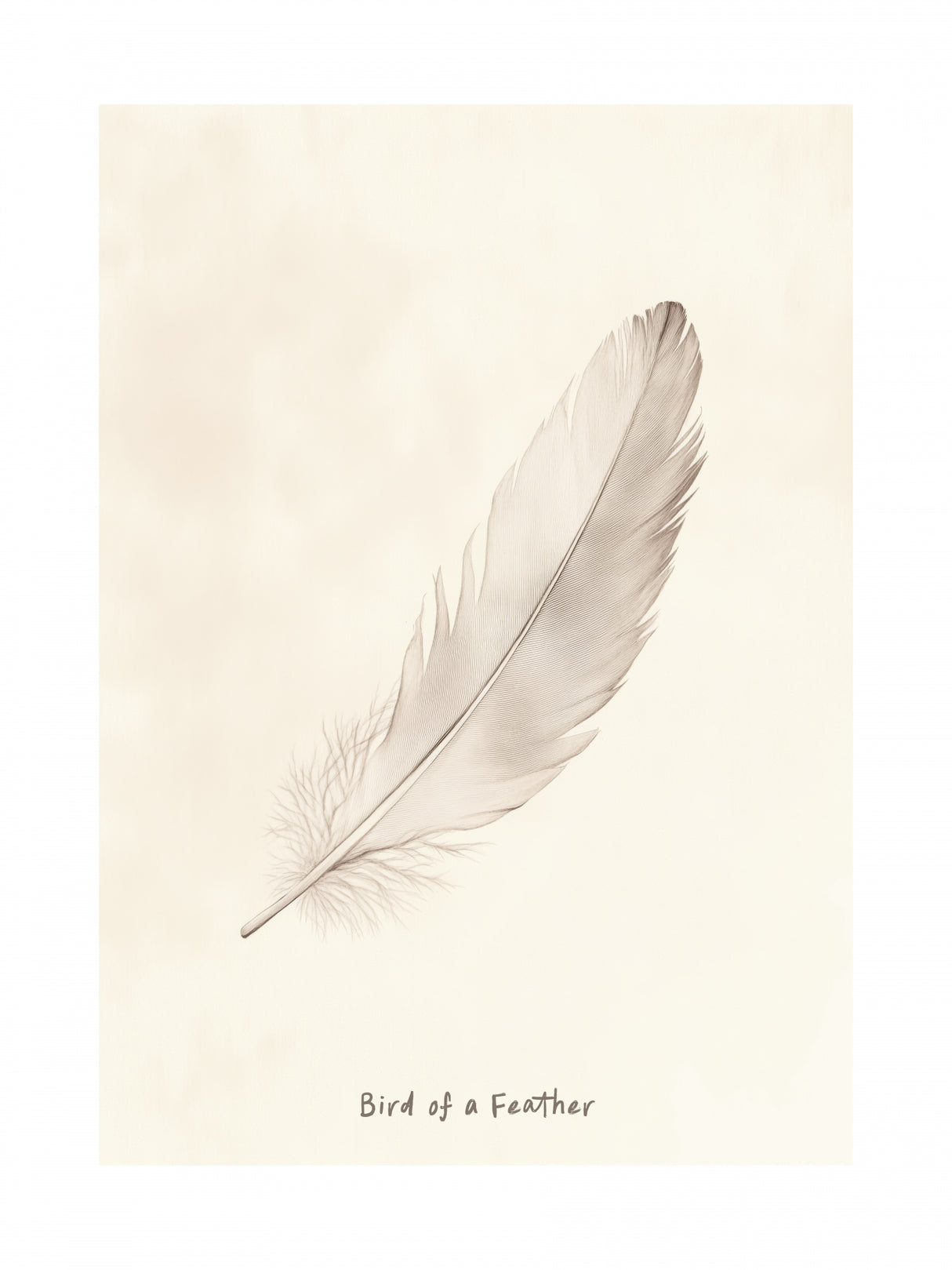 Birdofafeather Poster och Canvastavla