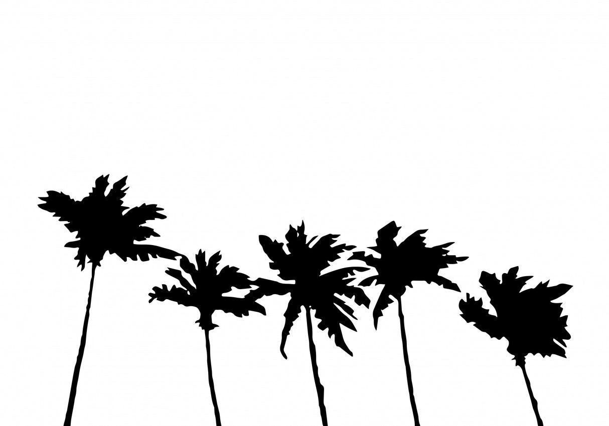 Palms White Poster och Canvastavla