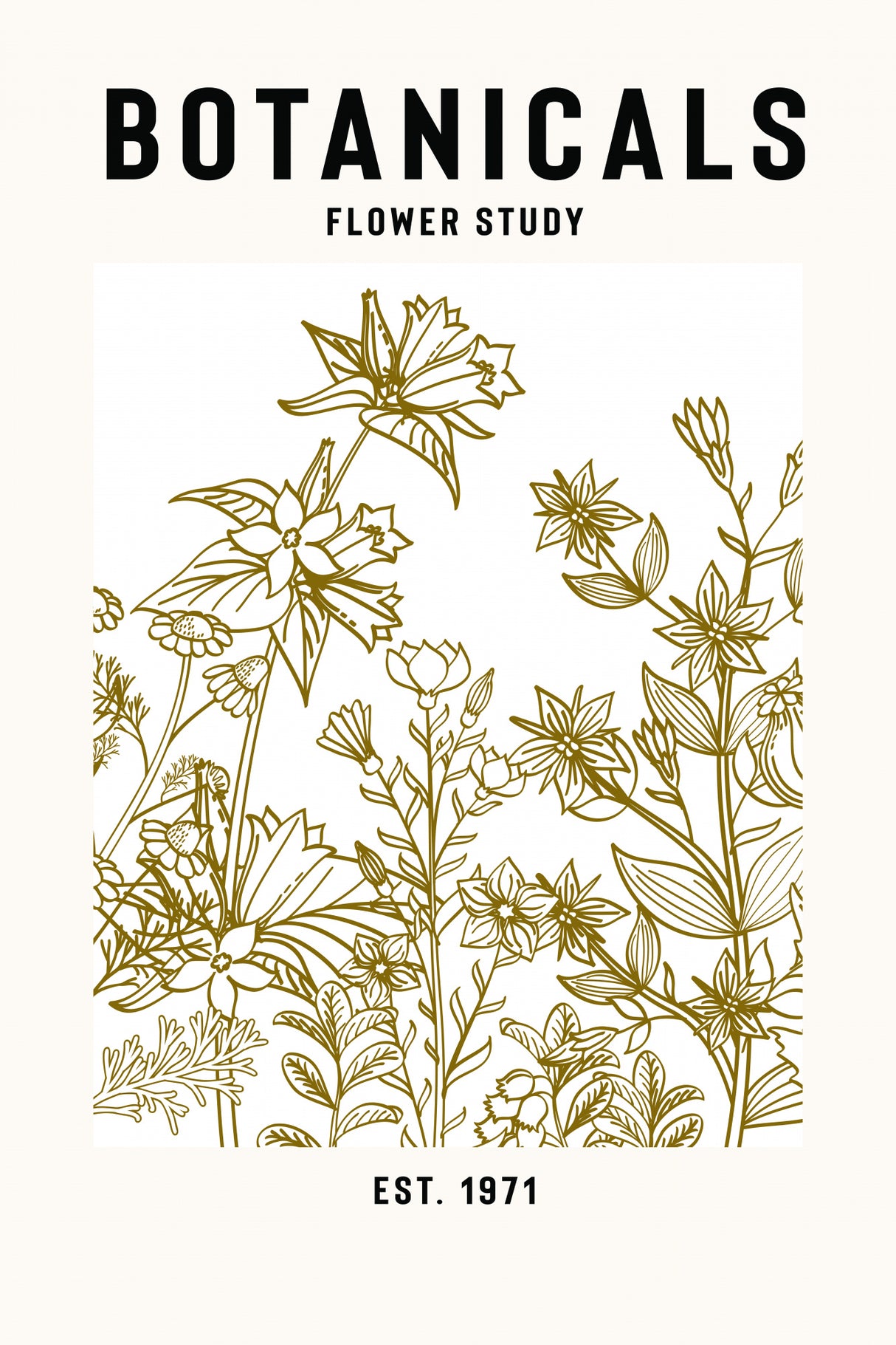 Botanicals Flower Study Ii Poster och Canvastavla