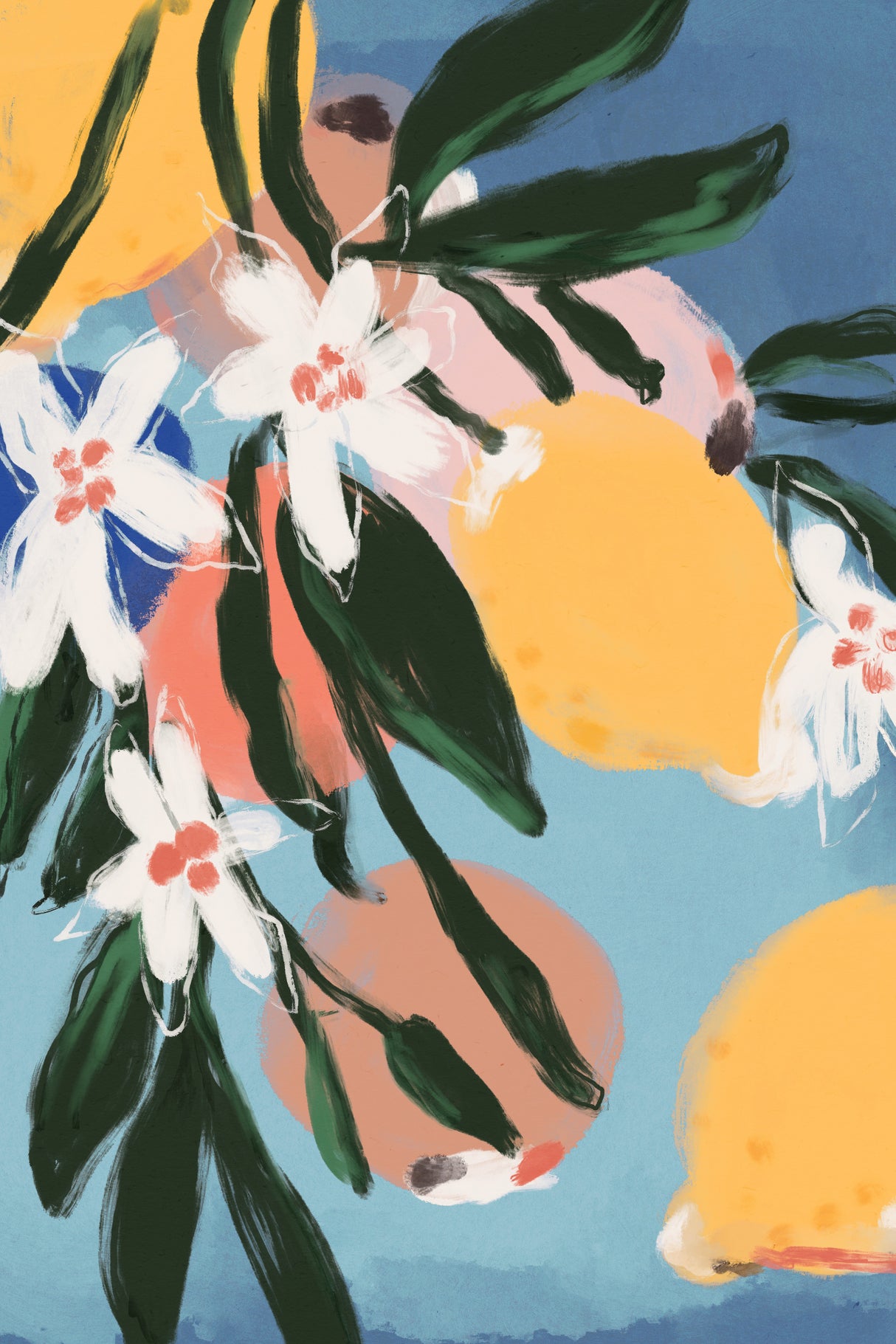 Fruity Summer No 1 Poster och Canvastavla