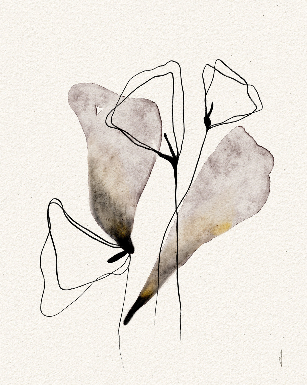 MAGESTIC FLOWERS Poster och Canvastavla