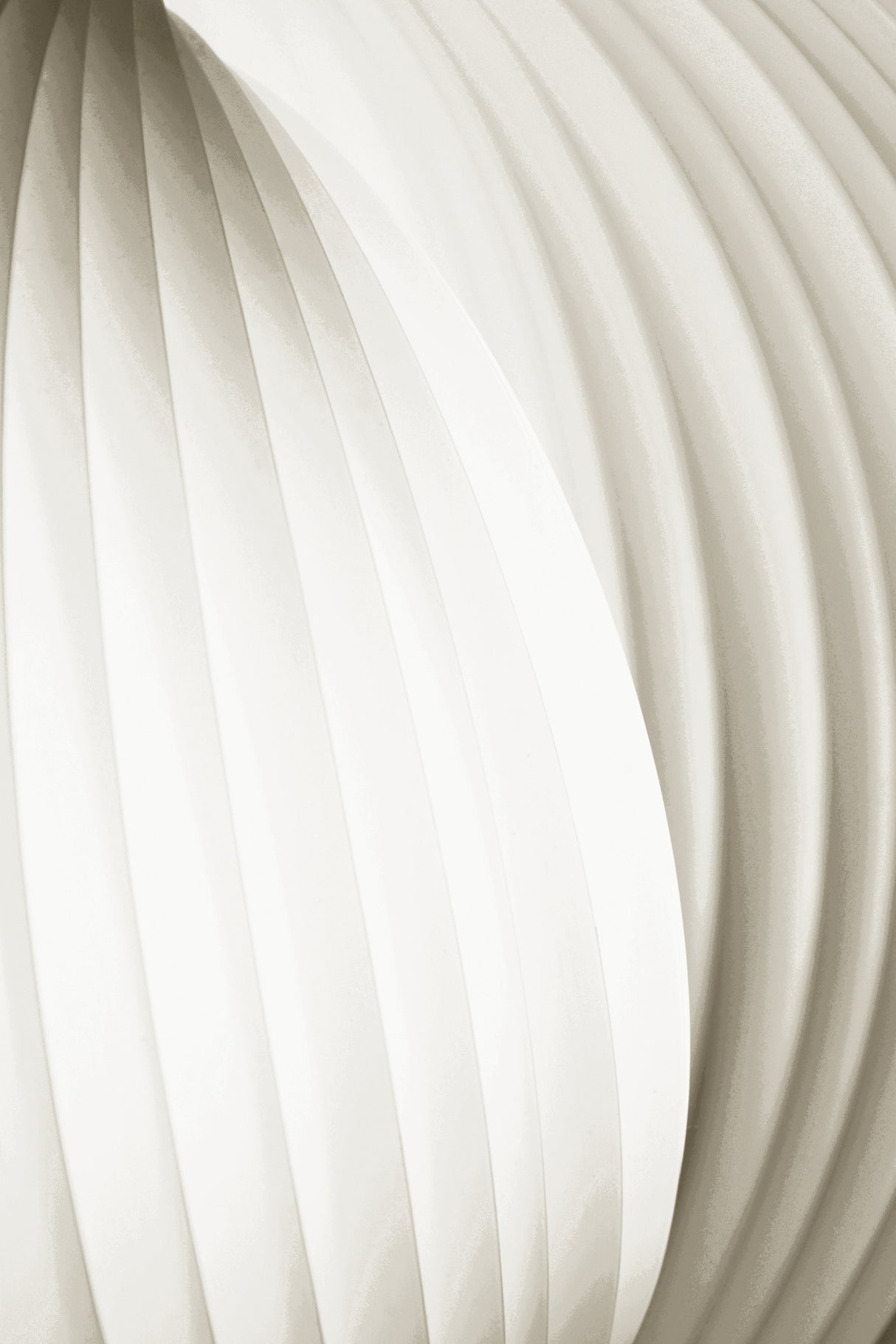 Soft Curves Poster och Canvastavla