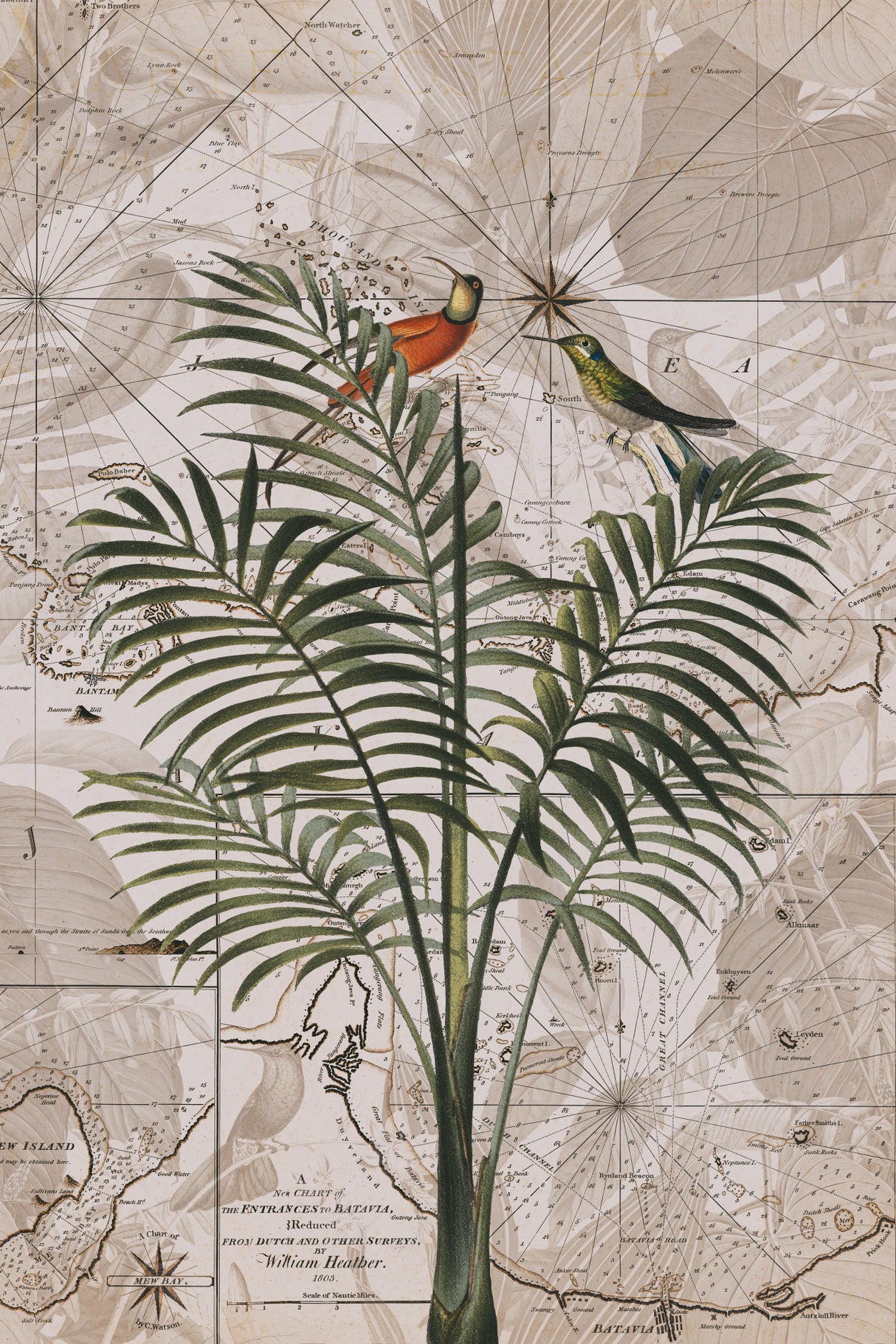 Indonesia Jungle Paradise No4 Poster och Canvastavla