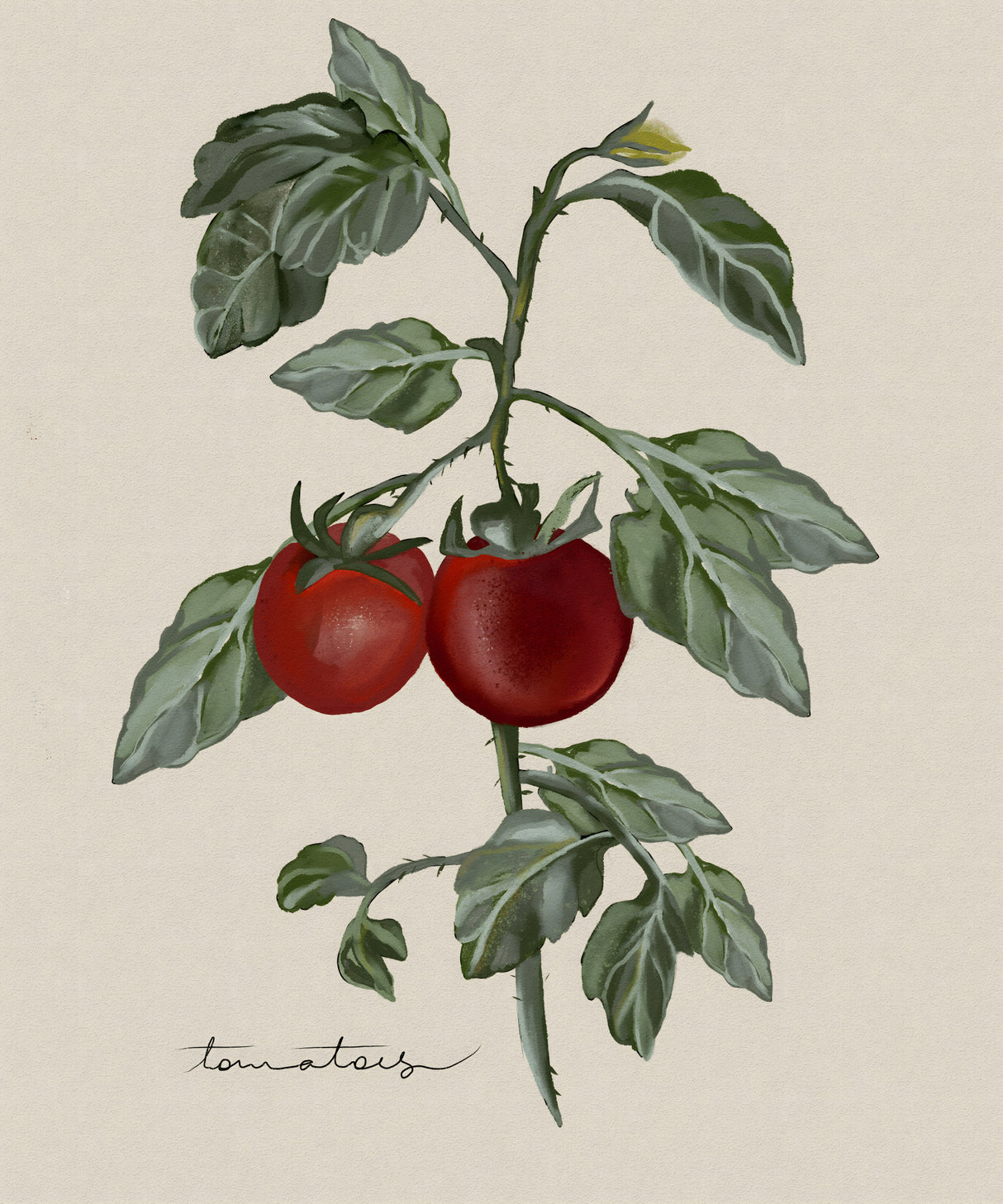 Vintage Garden Poster och Canvastavla