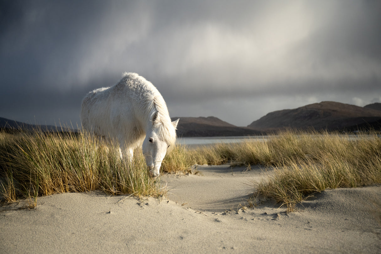 Outer Hebrides, no AI Poster och Canvastavla