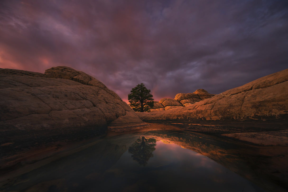 Morning Light Poster och Canvastavla