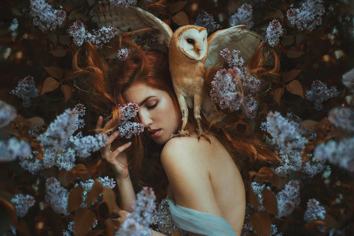 Soul of nature... Poster och Canvastavla