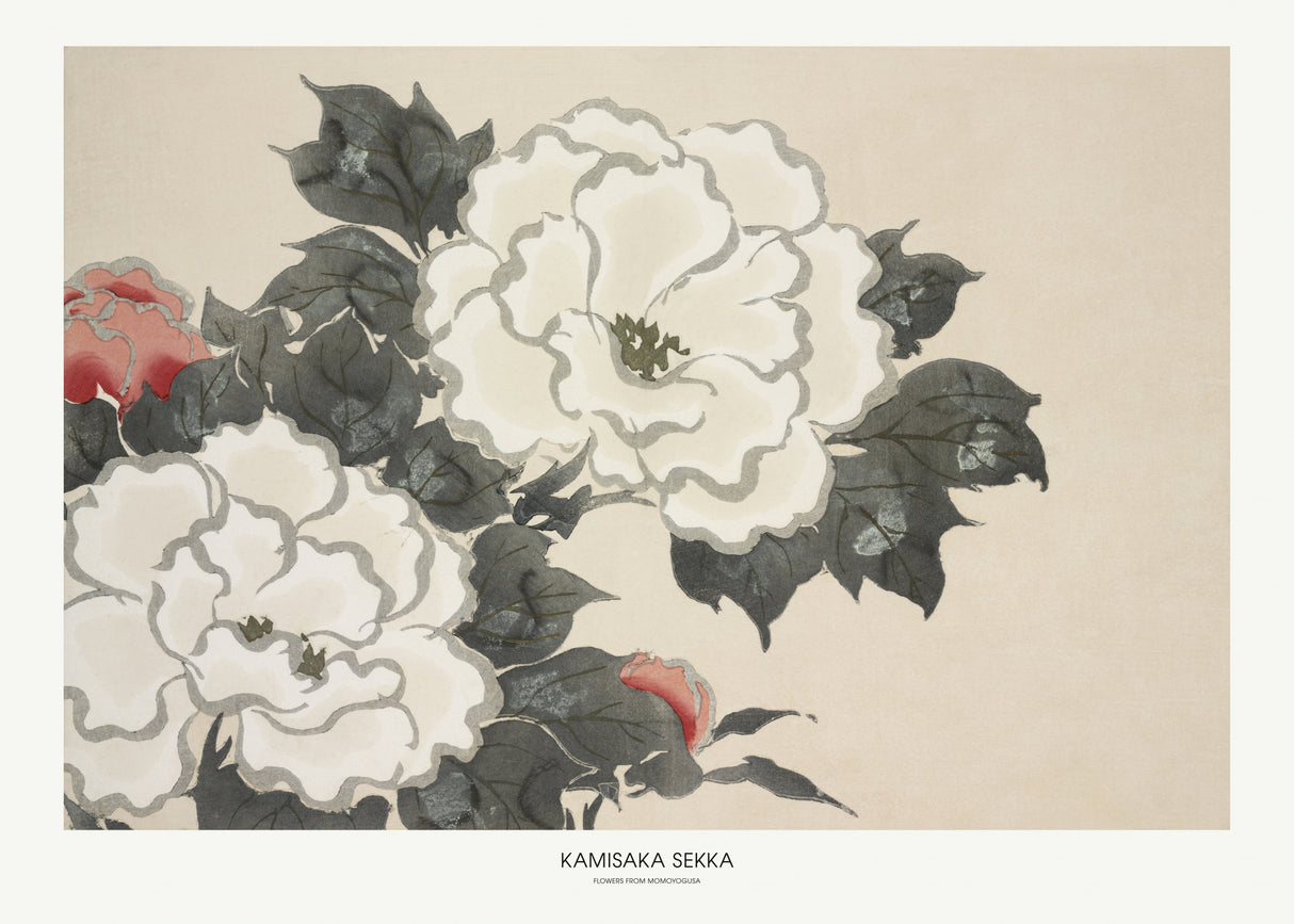 Flowers From Momoyogusa Poster och Canvastavla