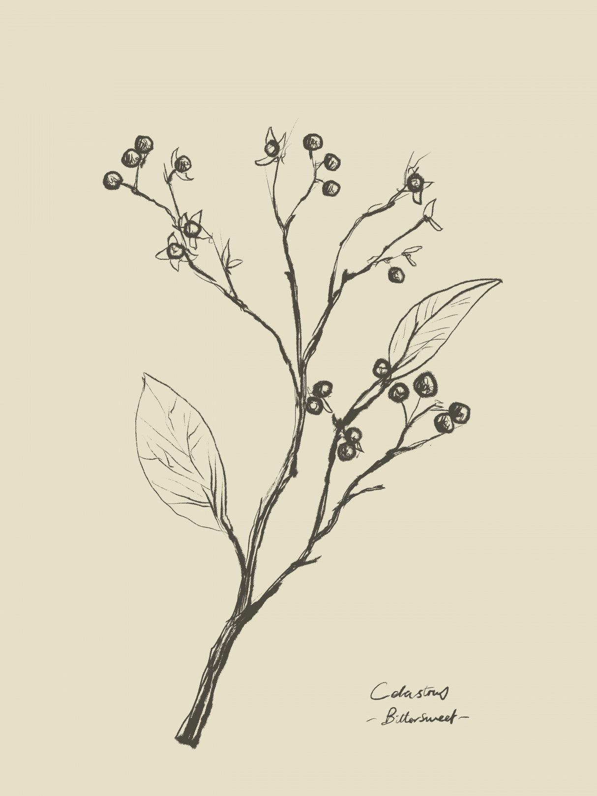 Floral 2 Poster och Canvastavla