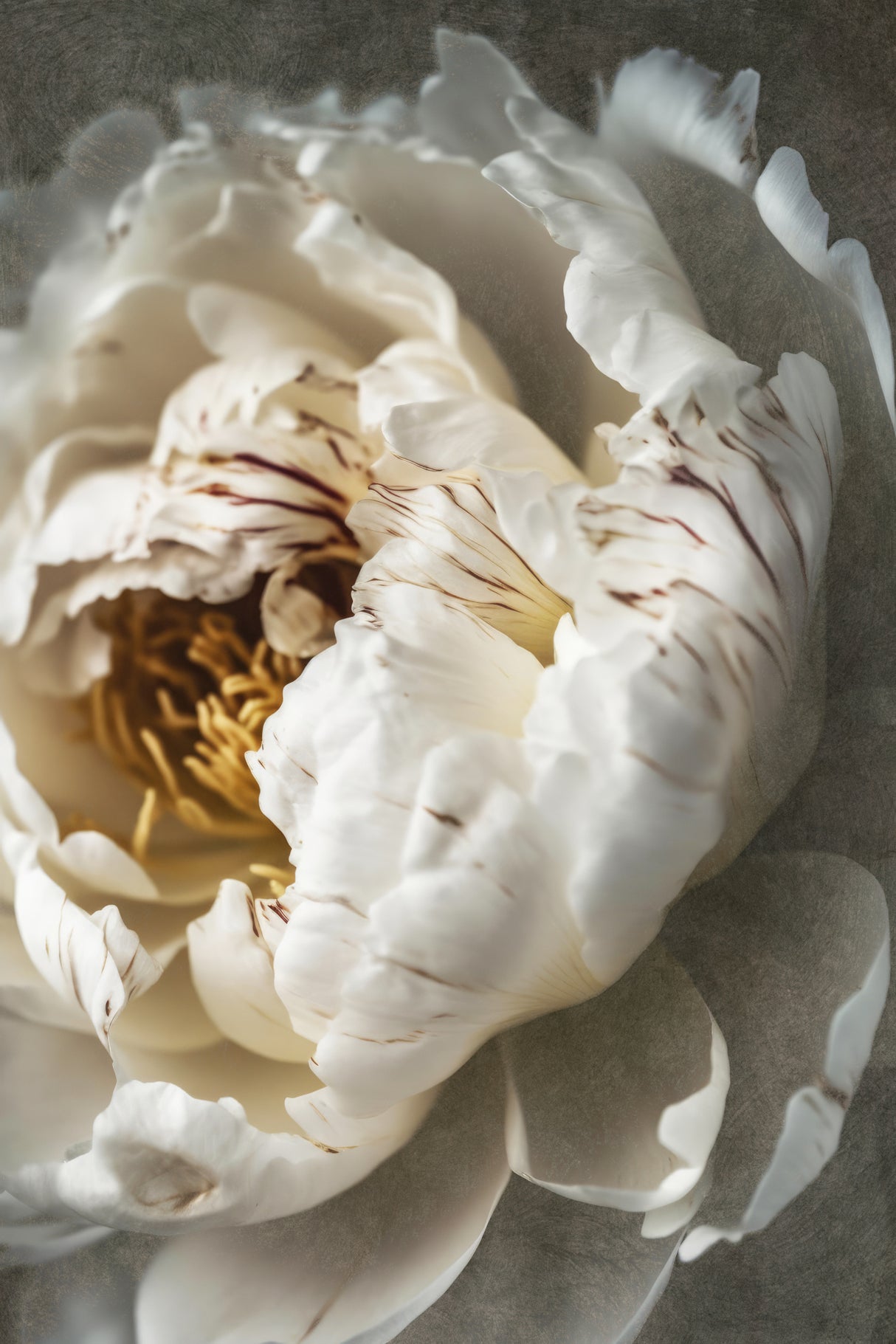 Nostalgicnatureno20 Poster och Canvastavla