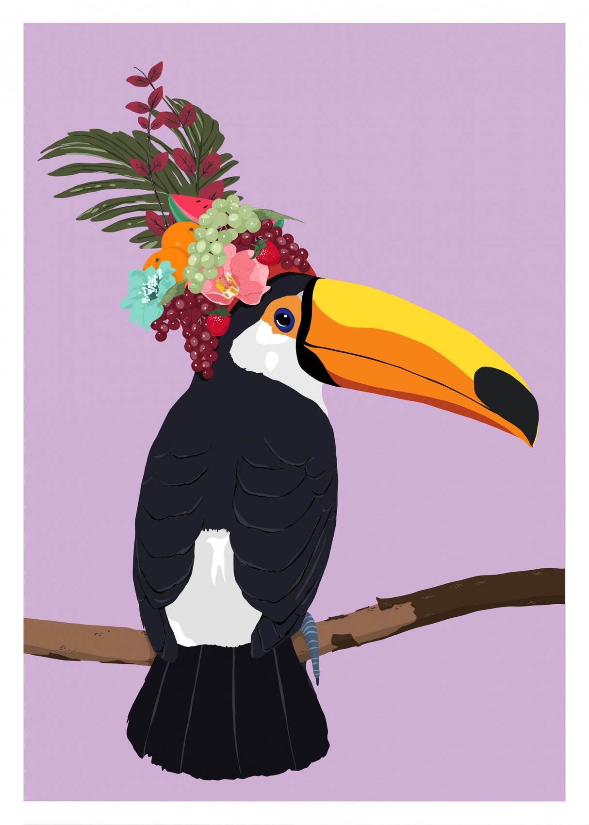 Toucan Poster och Canvastavla