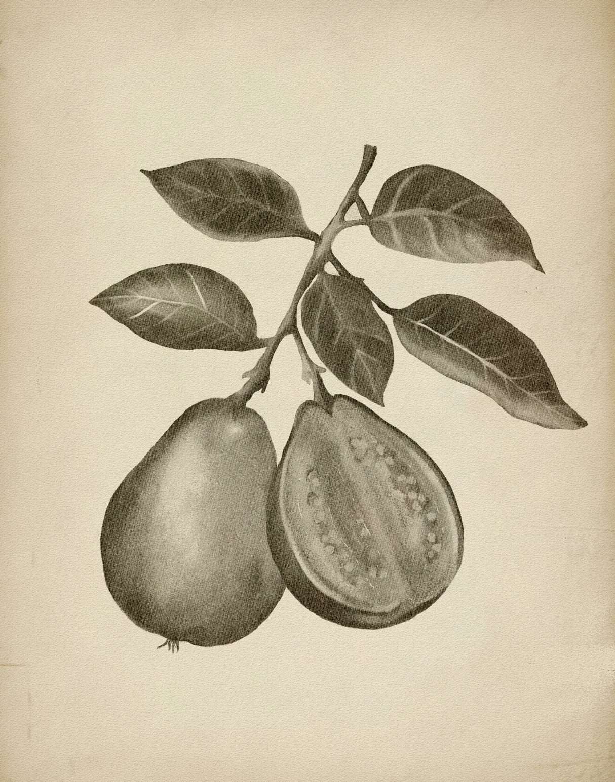 Project (20241106125218) Poster och Canvastavla