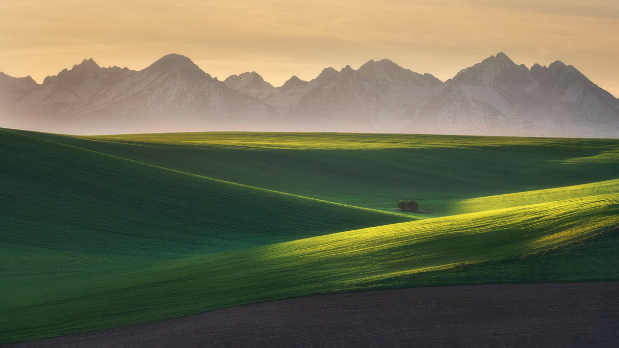 In the waves Poster och Canvastavla