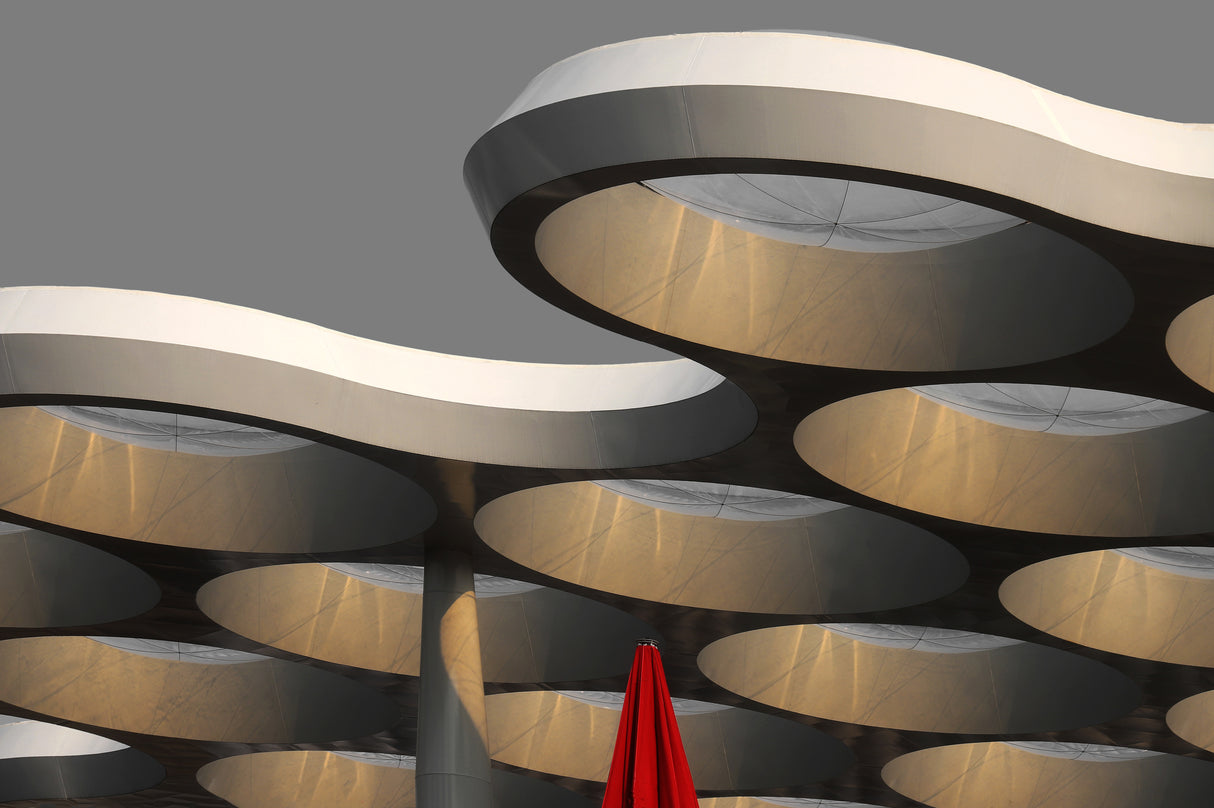 Golden Canopy Poster och Canvastavla