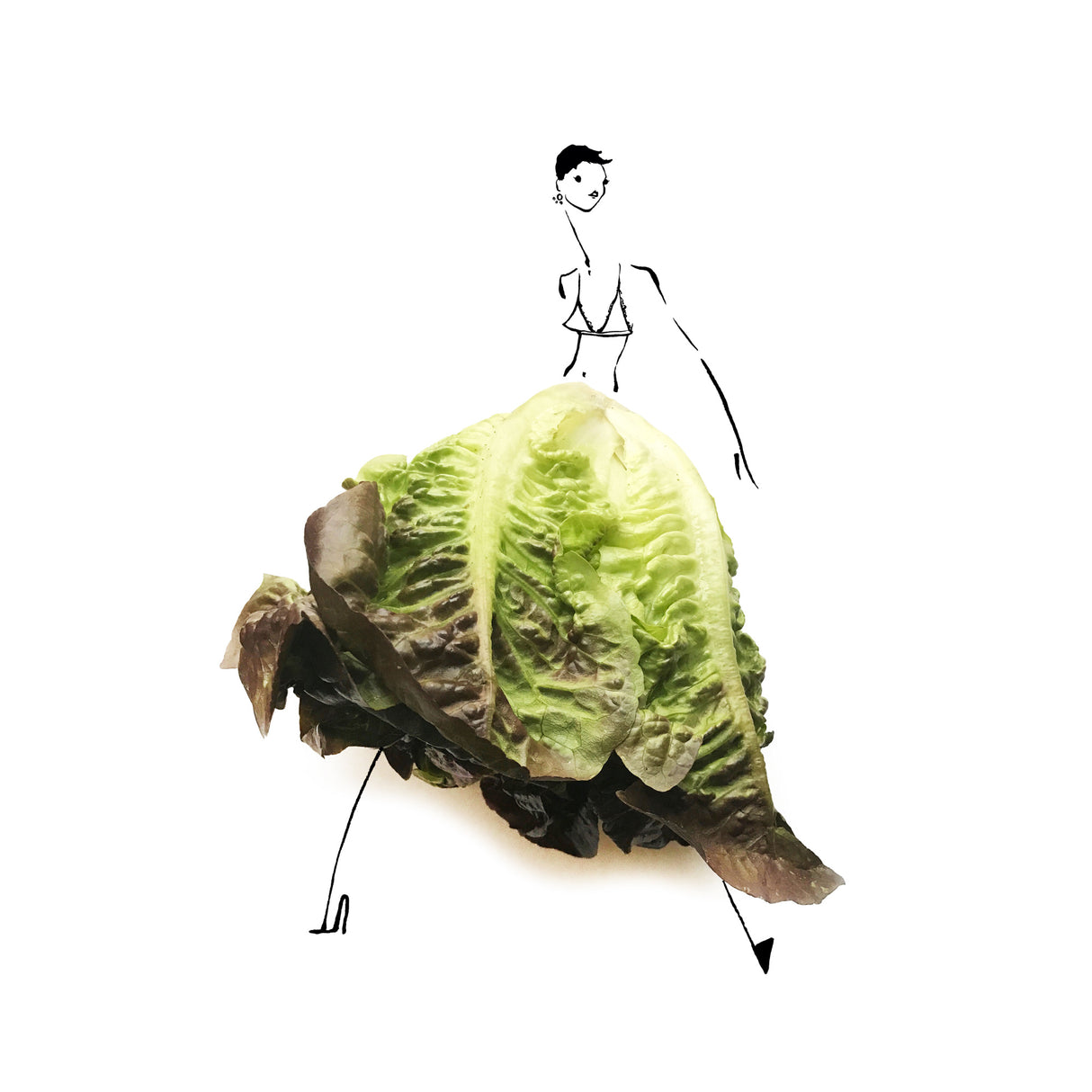 Lettuce Poster och Canvastavla