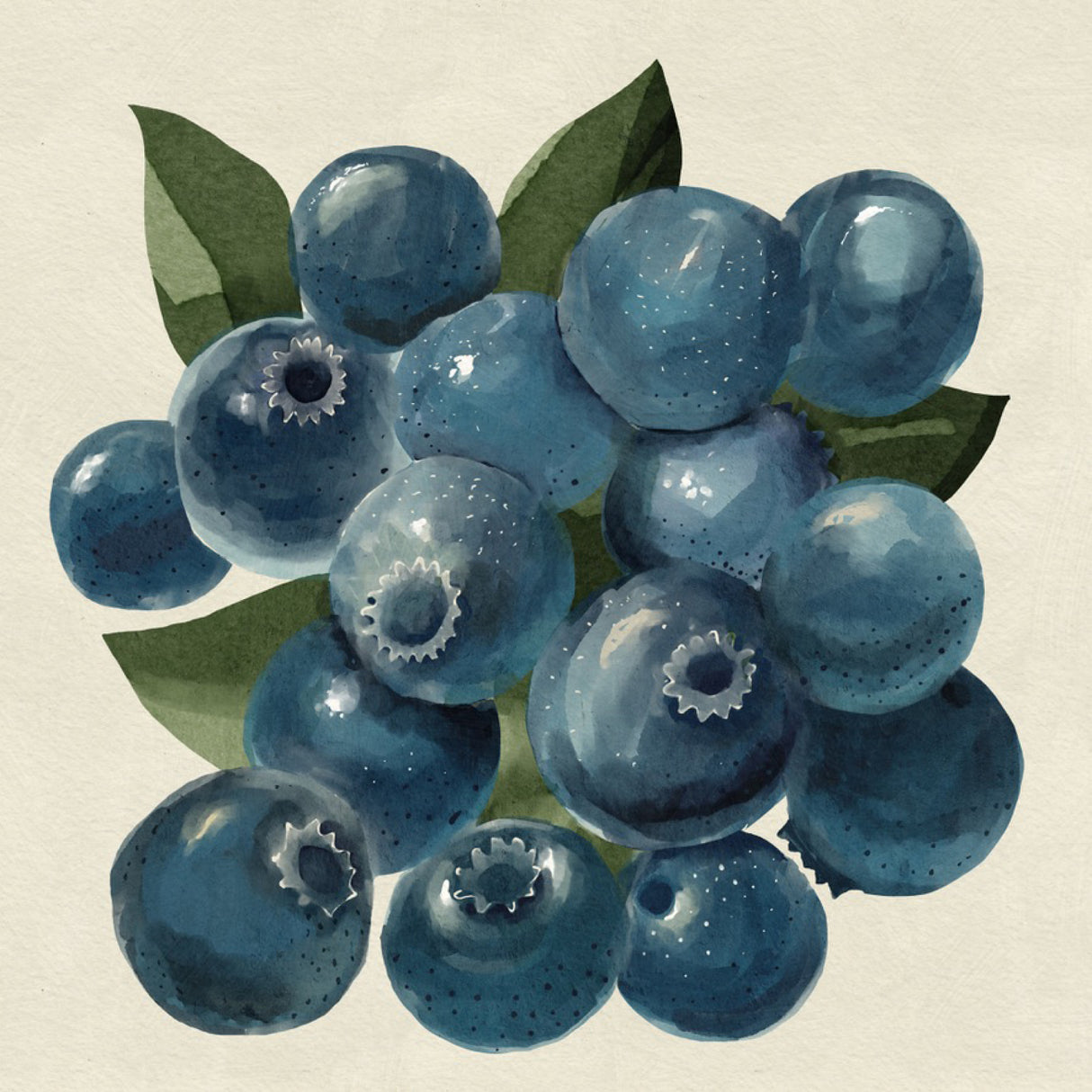 Blueberries Poster och Canvastavla