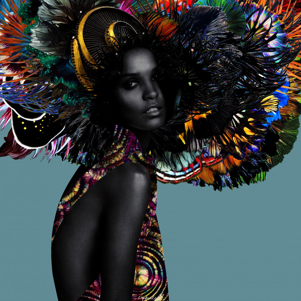 Iansa Poster och Canvastavla