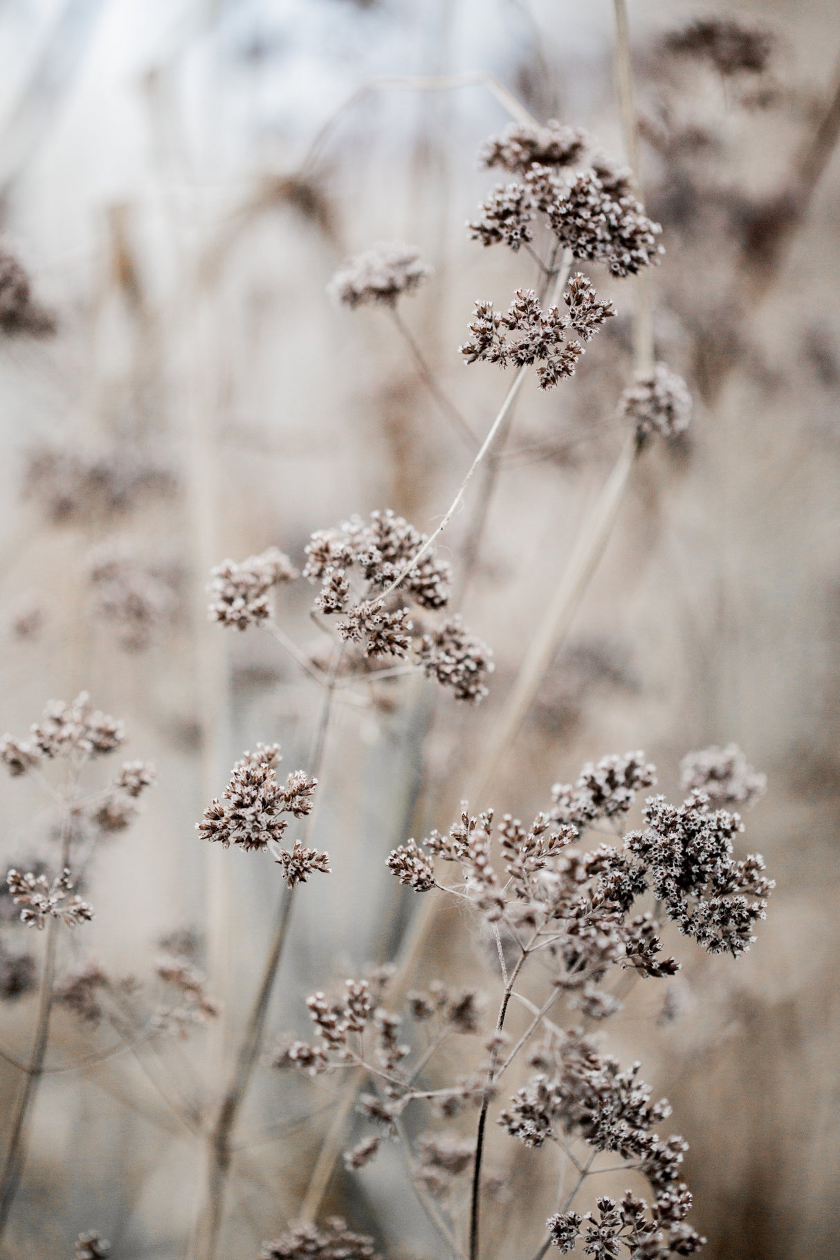 Unknown 8 Poster och Canvastavla