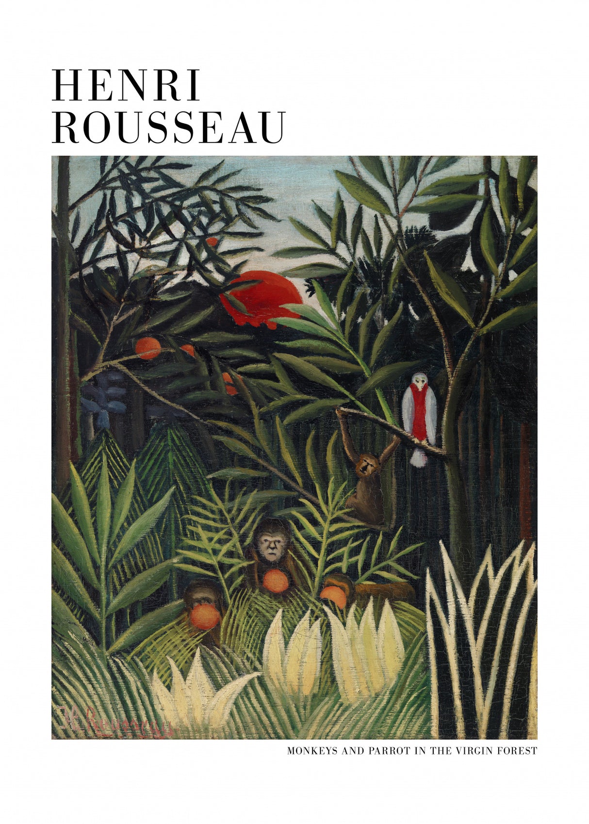 Monkeys And Parrot In The Virgin Forest Poster och Canvastavla