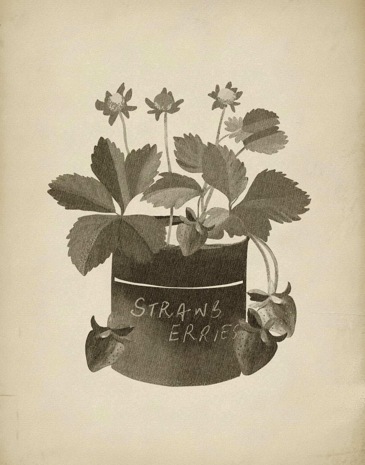 Vintage strawberry plant Poster och Canvastavla