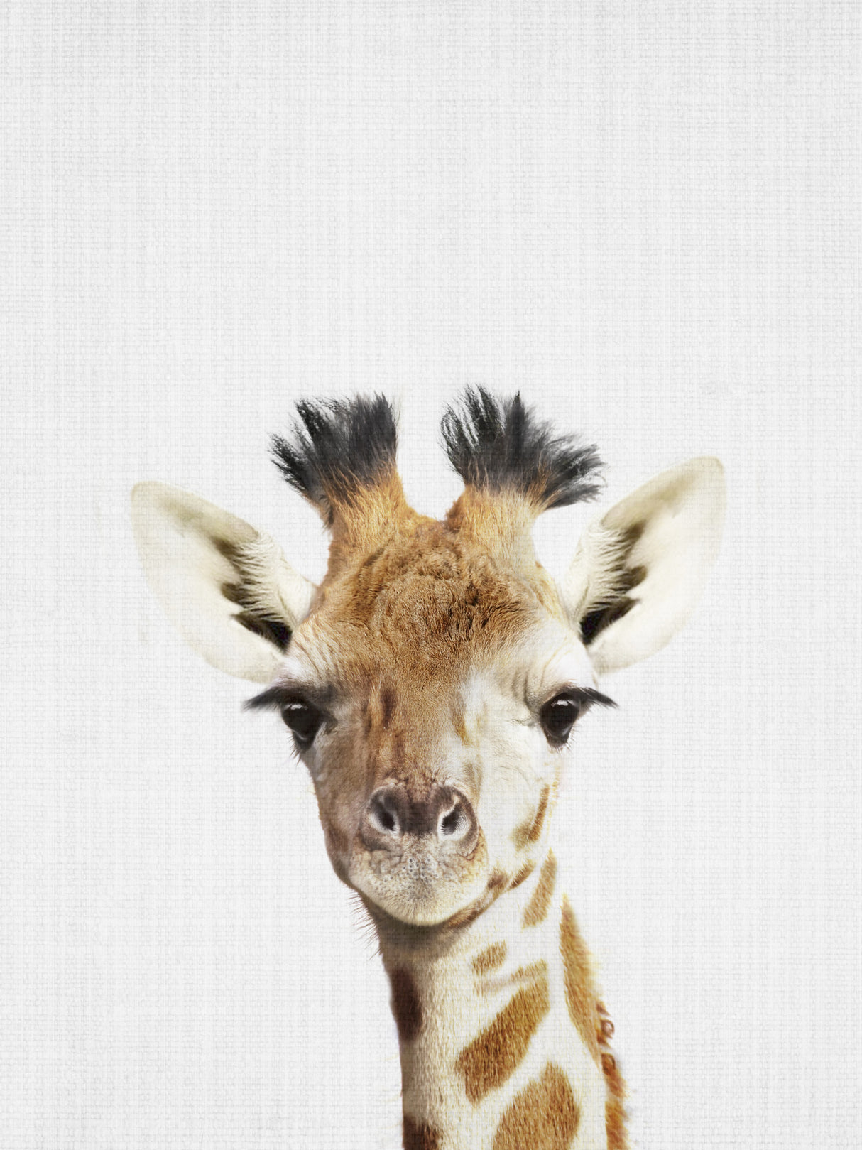 Giraffe Poster och Canvastavla